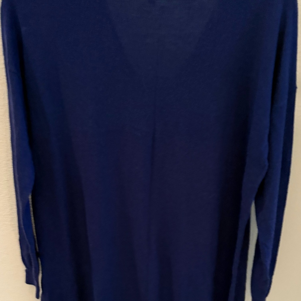 Joie Blue Long Sleeve Sweater